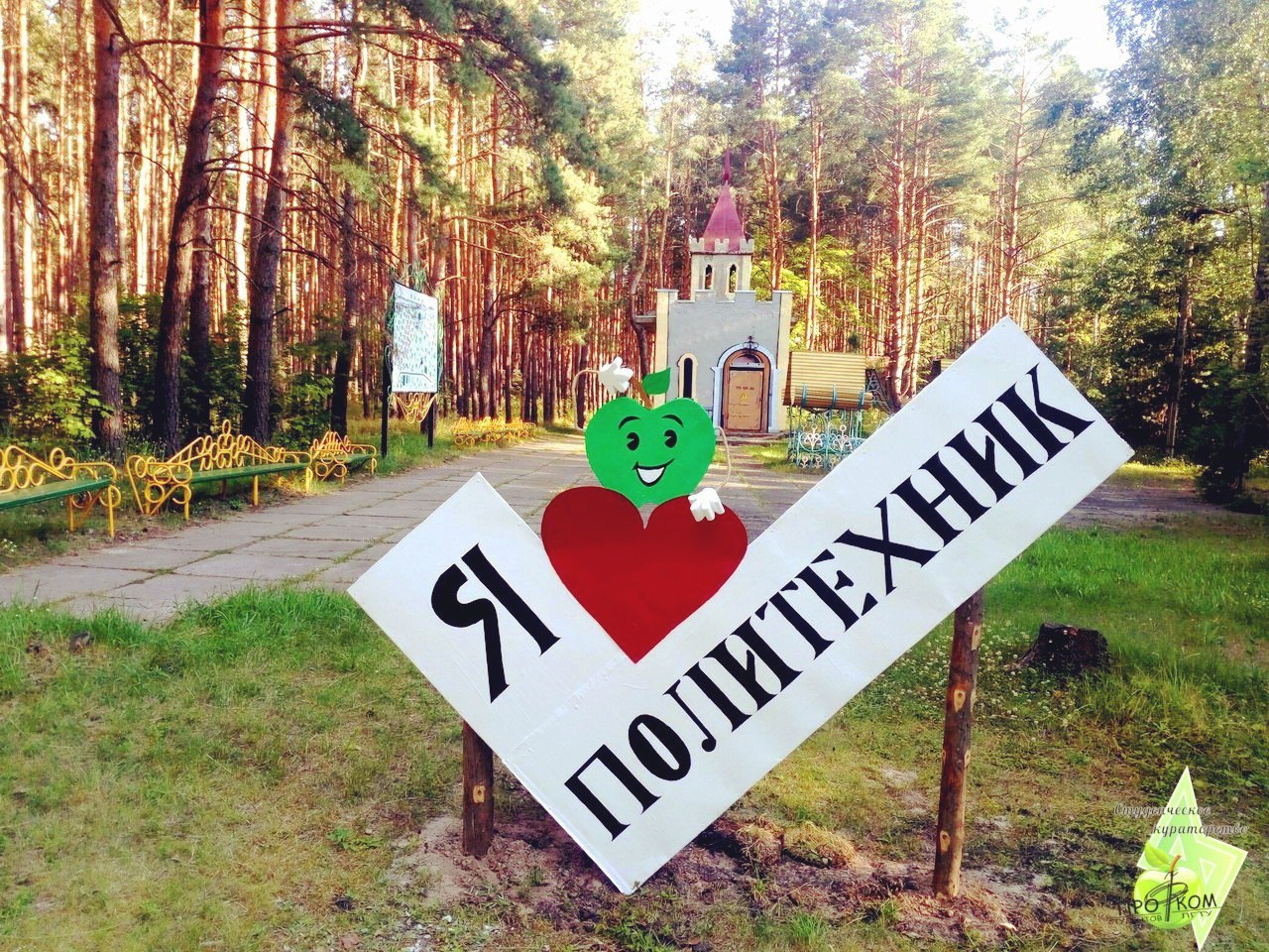 Школа кураторов